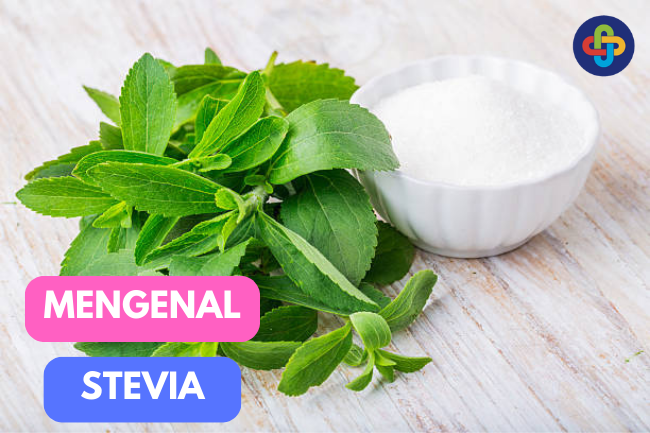 Mengenal Daun Stevia, Pemanis Alami Pengganti Gula